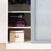 Frosted glass sliding wardrobe-2