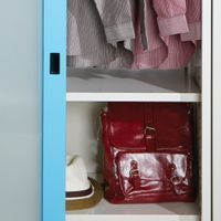 Frosted glass sliding wardrobe-4